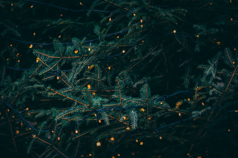 Marché de Noël de Cysoing